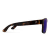 Arches in Tortoiseshell with Polarized Lens